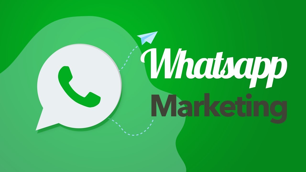 A importância do WhatsApp no marketing das empresas