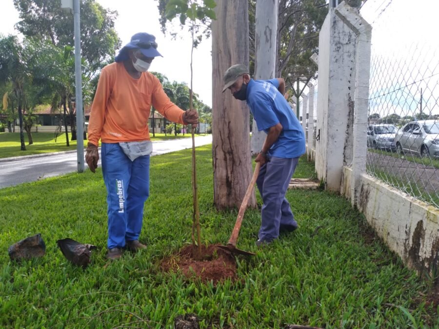 Foto: Divulgação/PMU